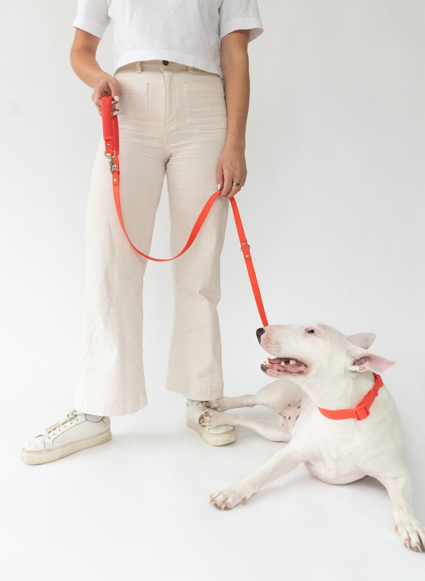 The Dog Leash