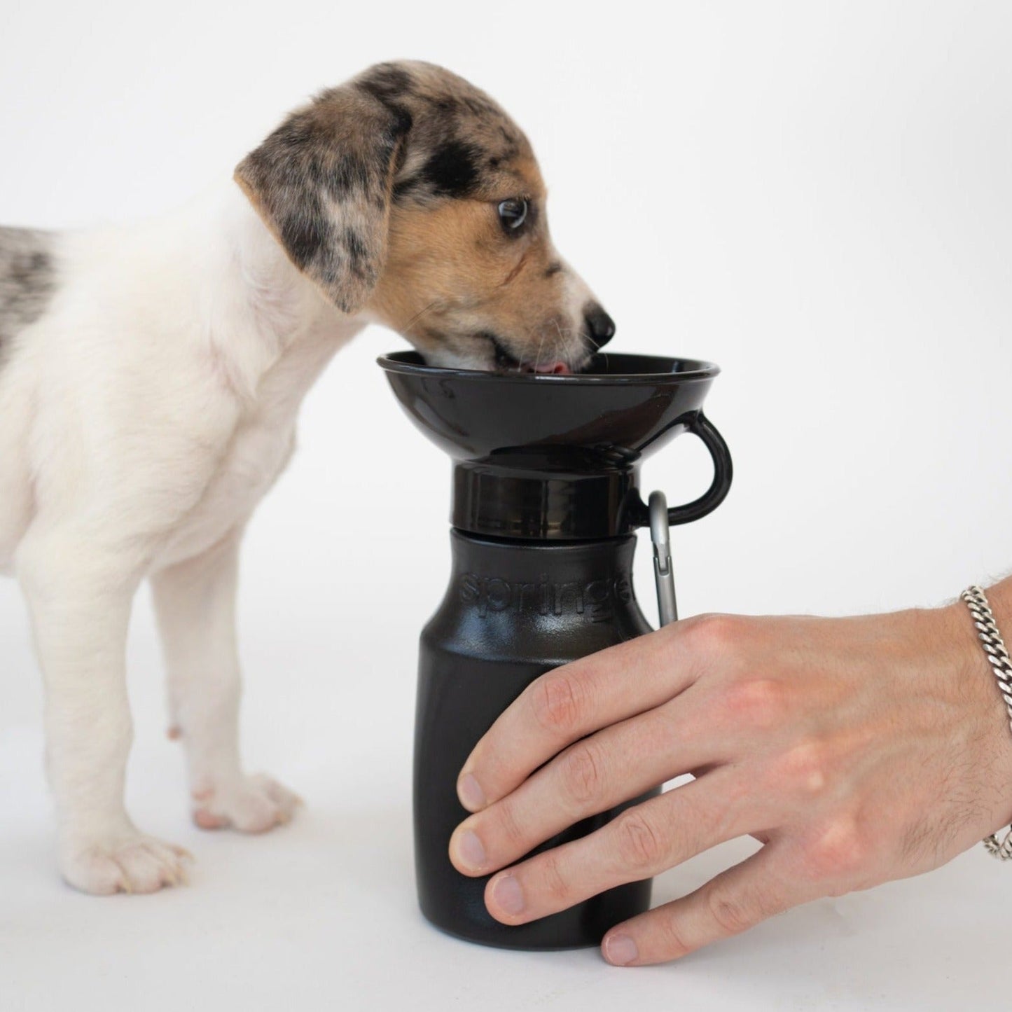 15oz Original Springer Dog Travel Water Bottle
