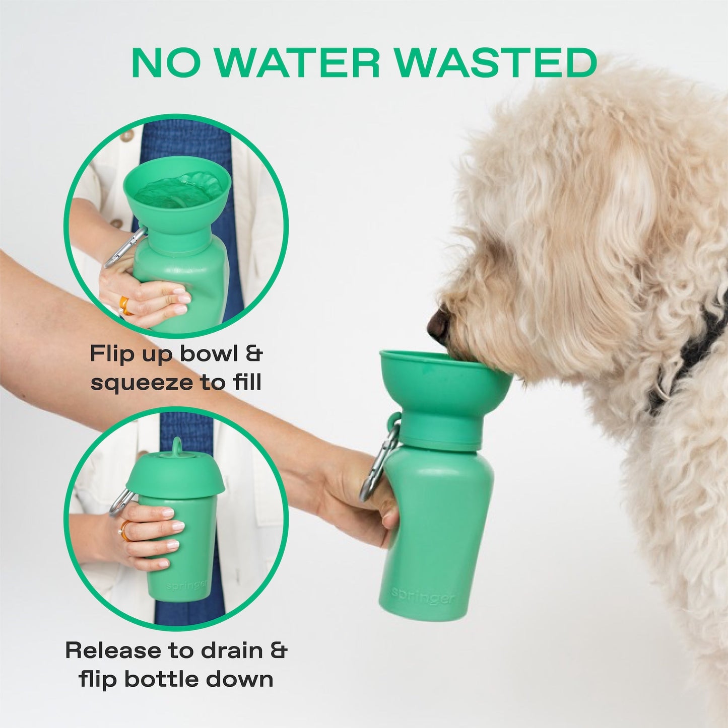 20oz Flip Springer Dog Travel Water Bottle