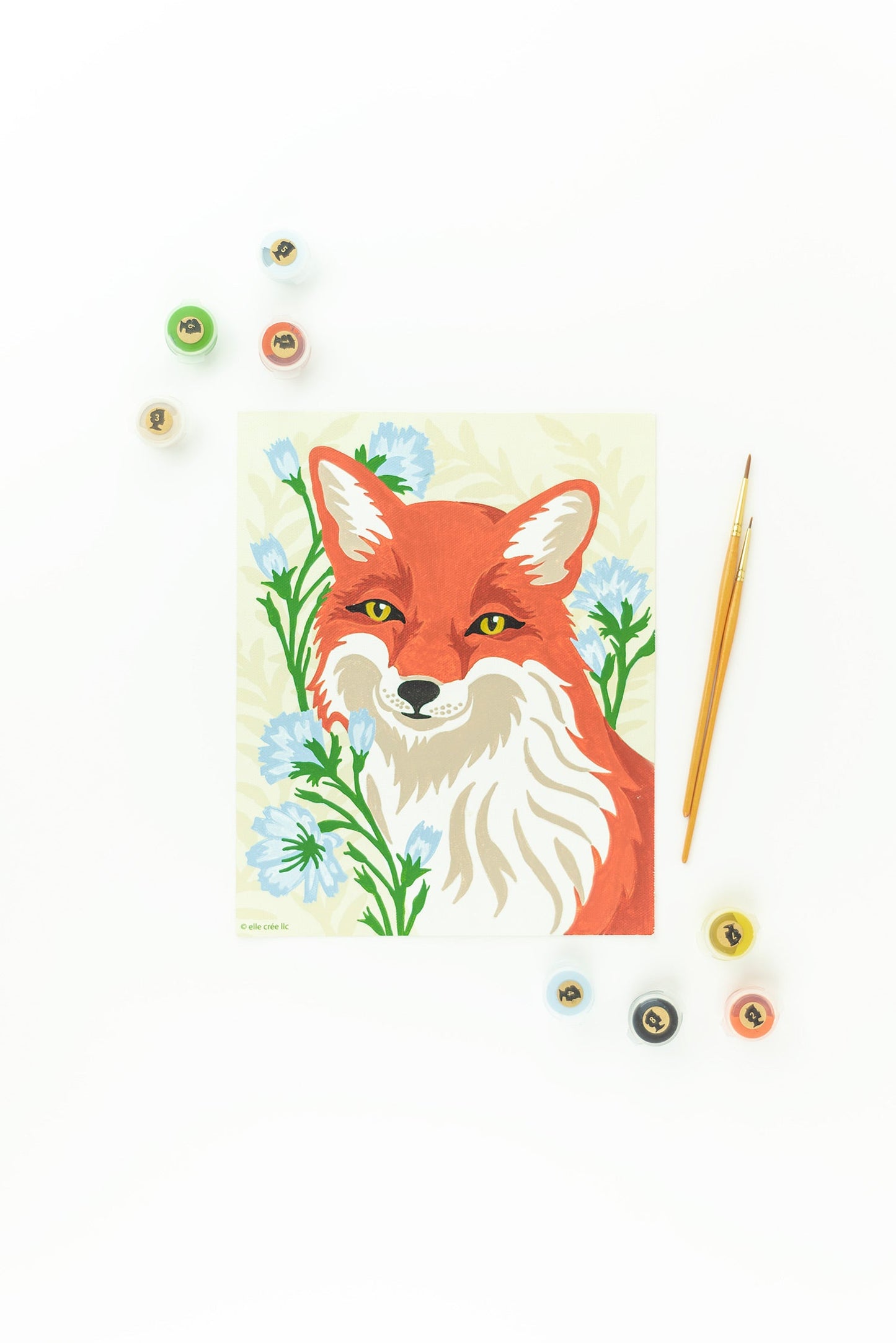 Fox with Chicory | 8x10 paint-by-number kit