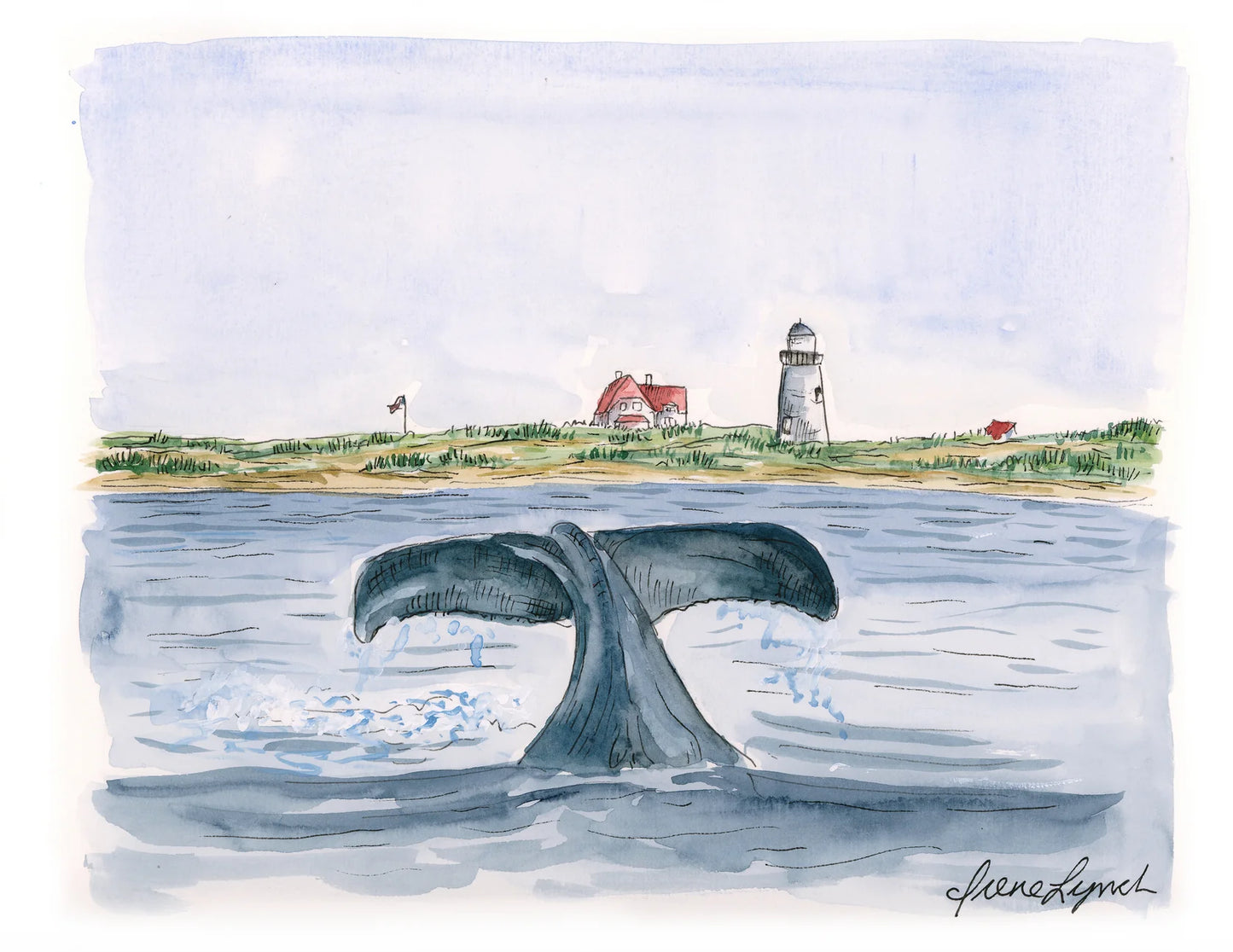 Whale Watching - 5x7 Matte Print