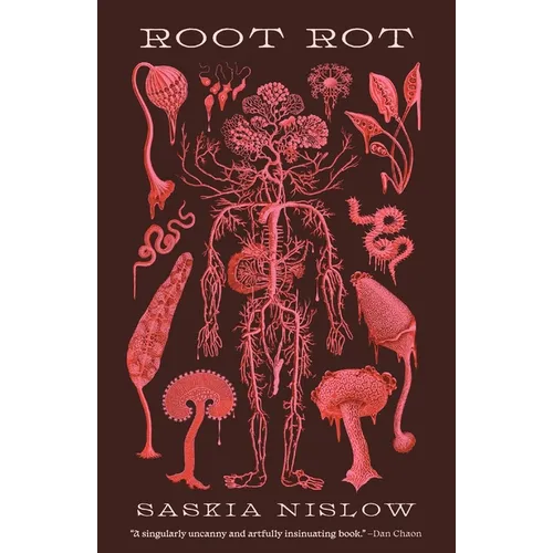 Root Rot