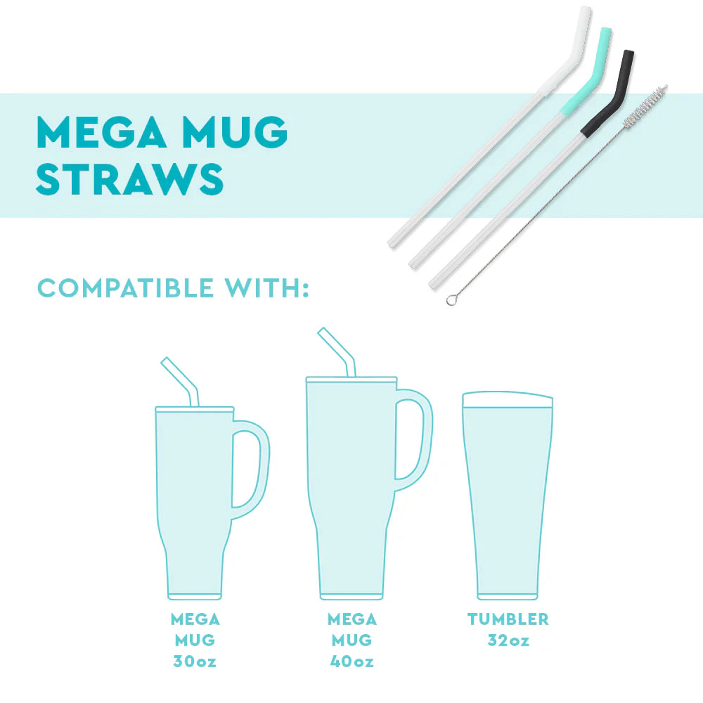 Blush/Coral/Hot Pink Reusable Straw Set Mega Mug
