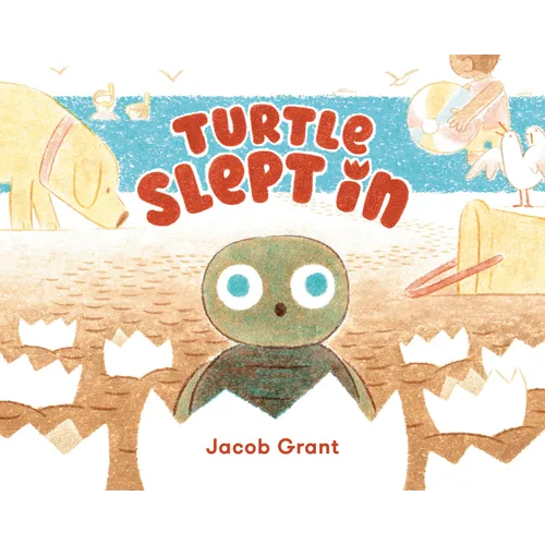 Turtle Slept in