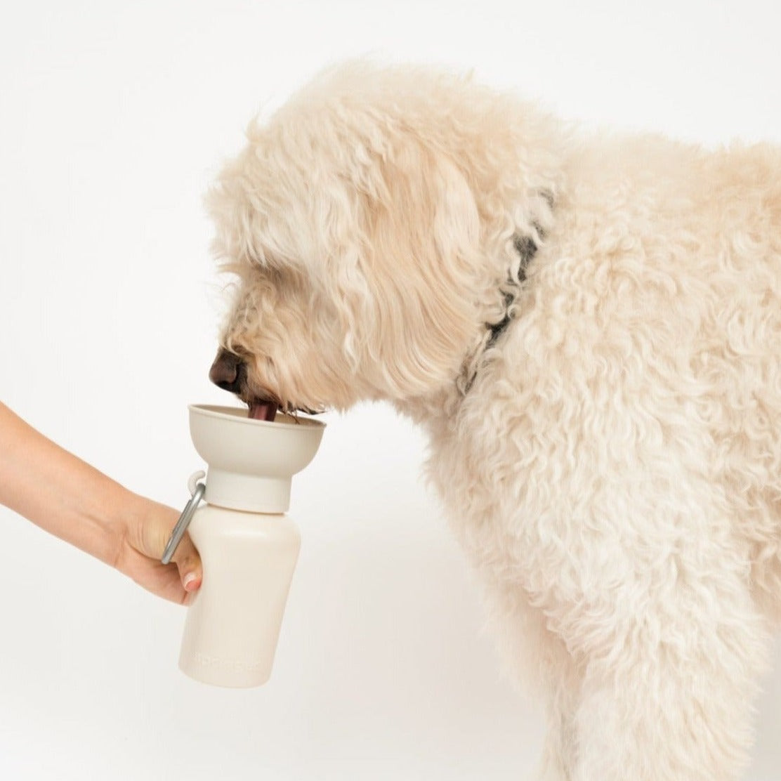 20oz Flip Springer Dog Travel Water Bottle