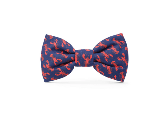 Catch of the Day Navy Dog Bow Tie