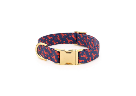 Catch of the Day Navy Dog Collar