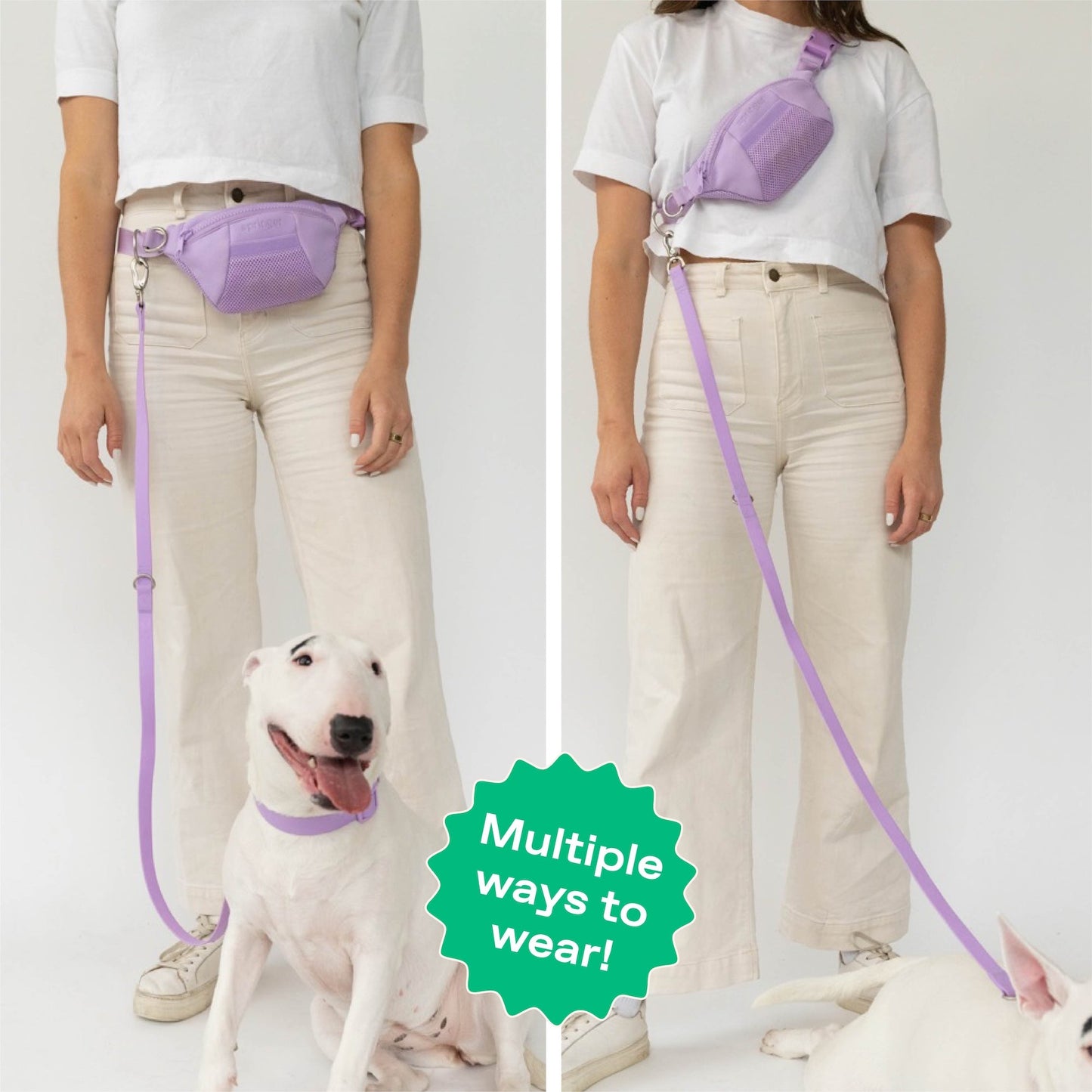 The Hands-Free Dog Sling Bag with Leash