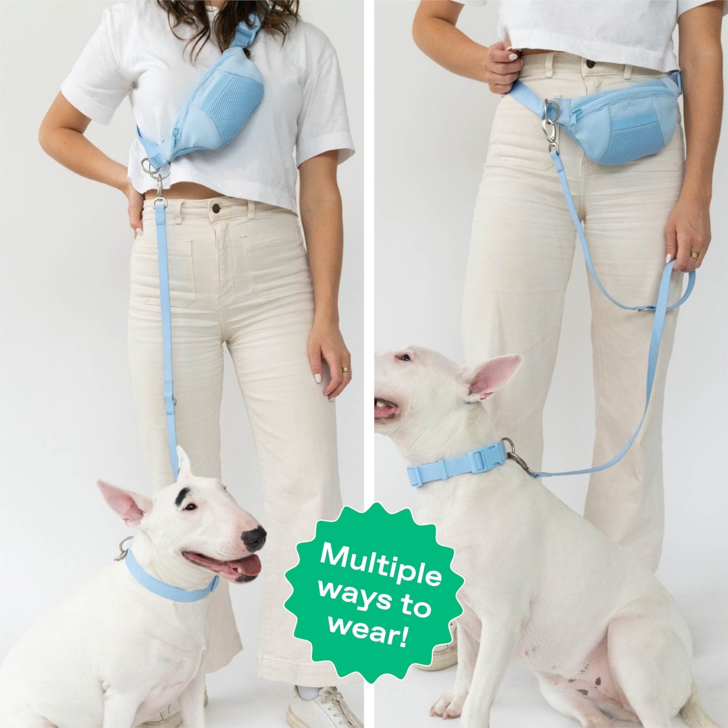 The Hands-Free Dog Sling Bag with Leash