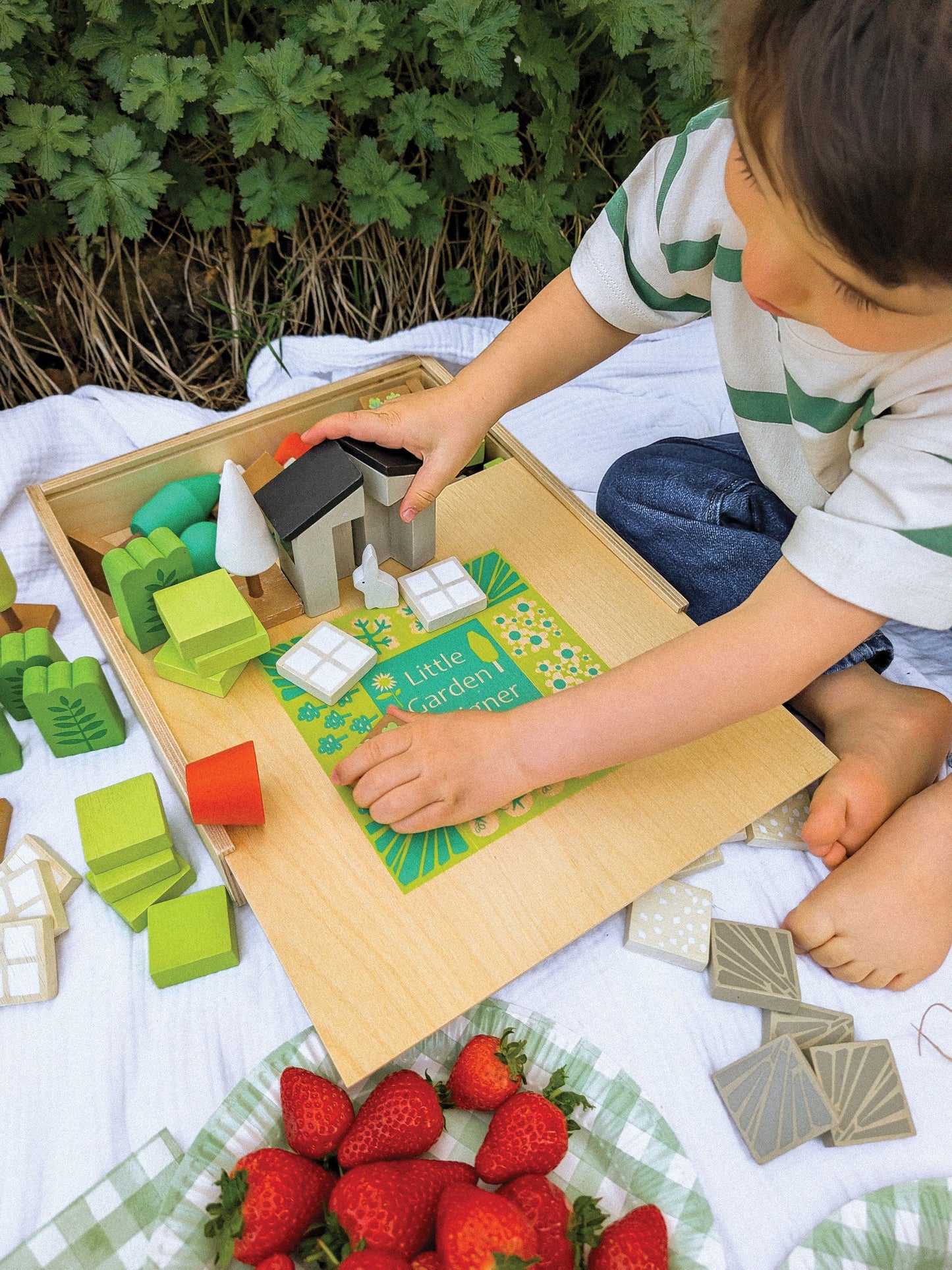 Little Garden Designer