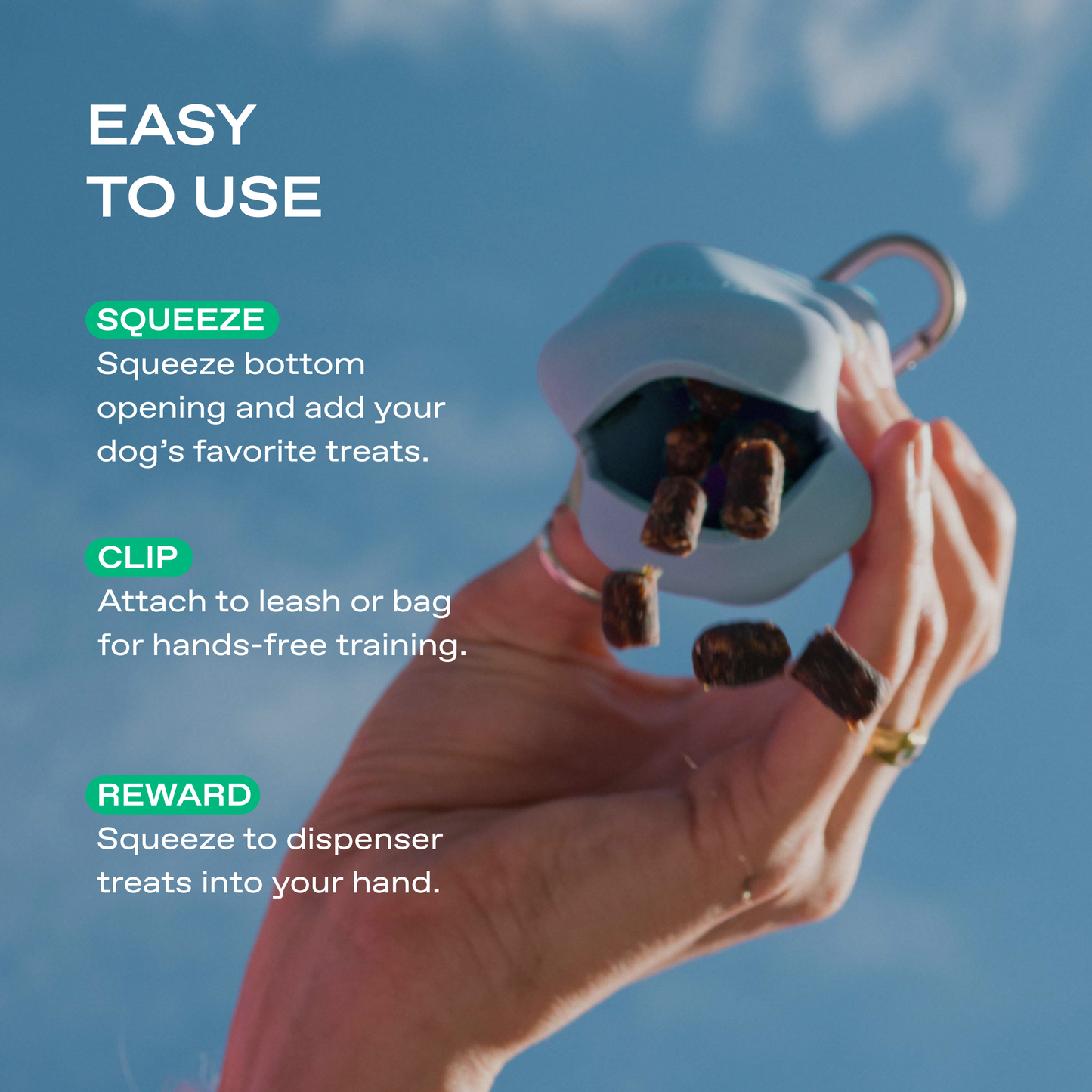 The Silicone Dog Treat Dispenser