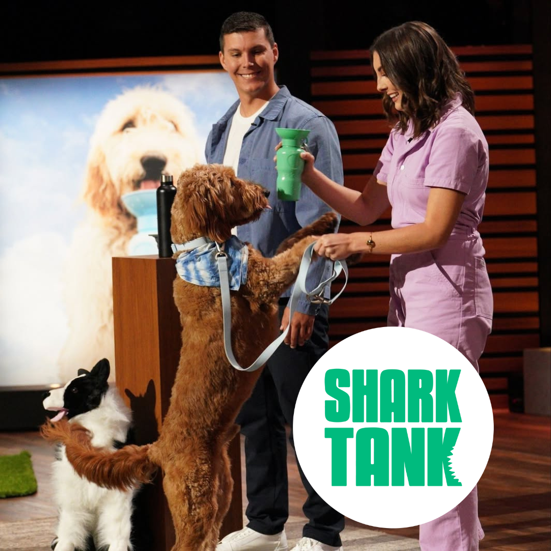 44oz Original Springer Dog Travel Water Bottle