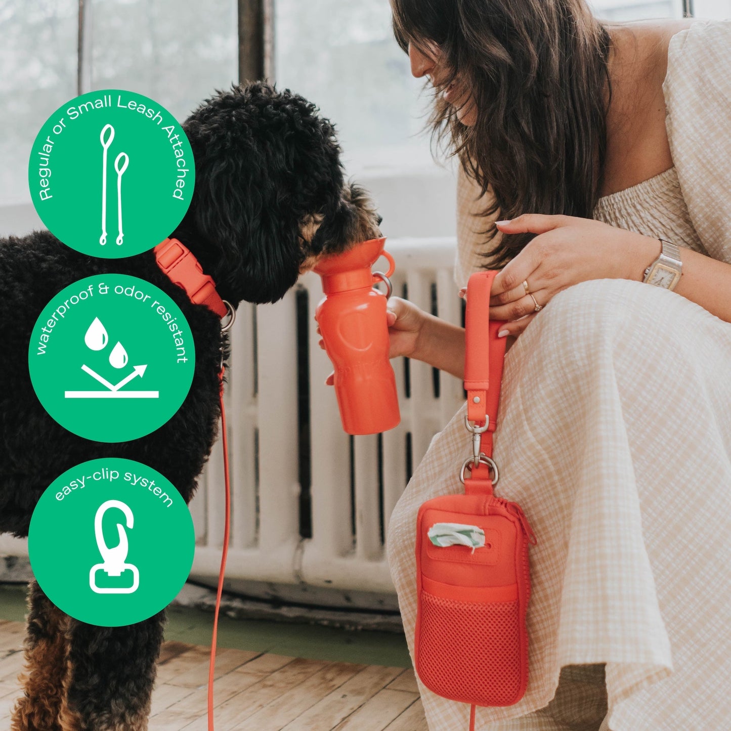 The Dog Walk Bag with Leash