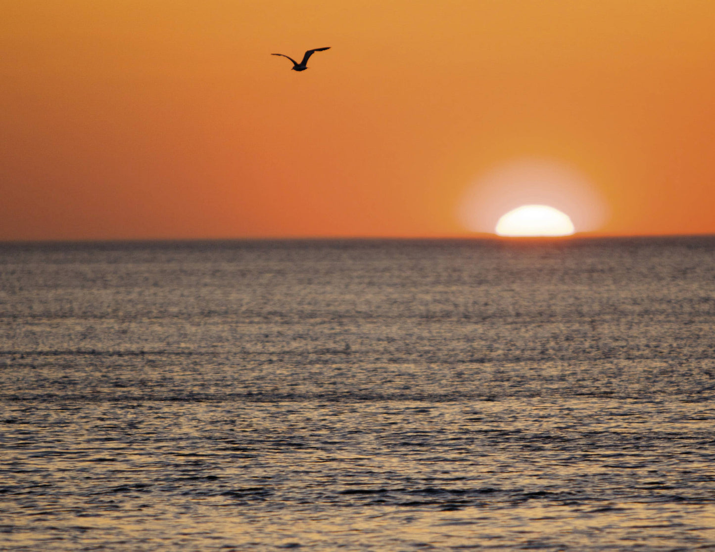 The Cape Cod National Seashore