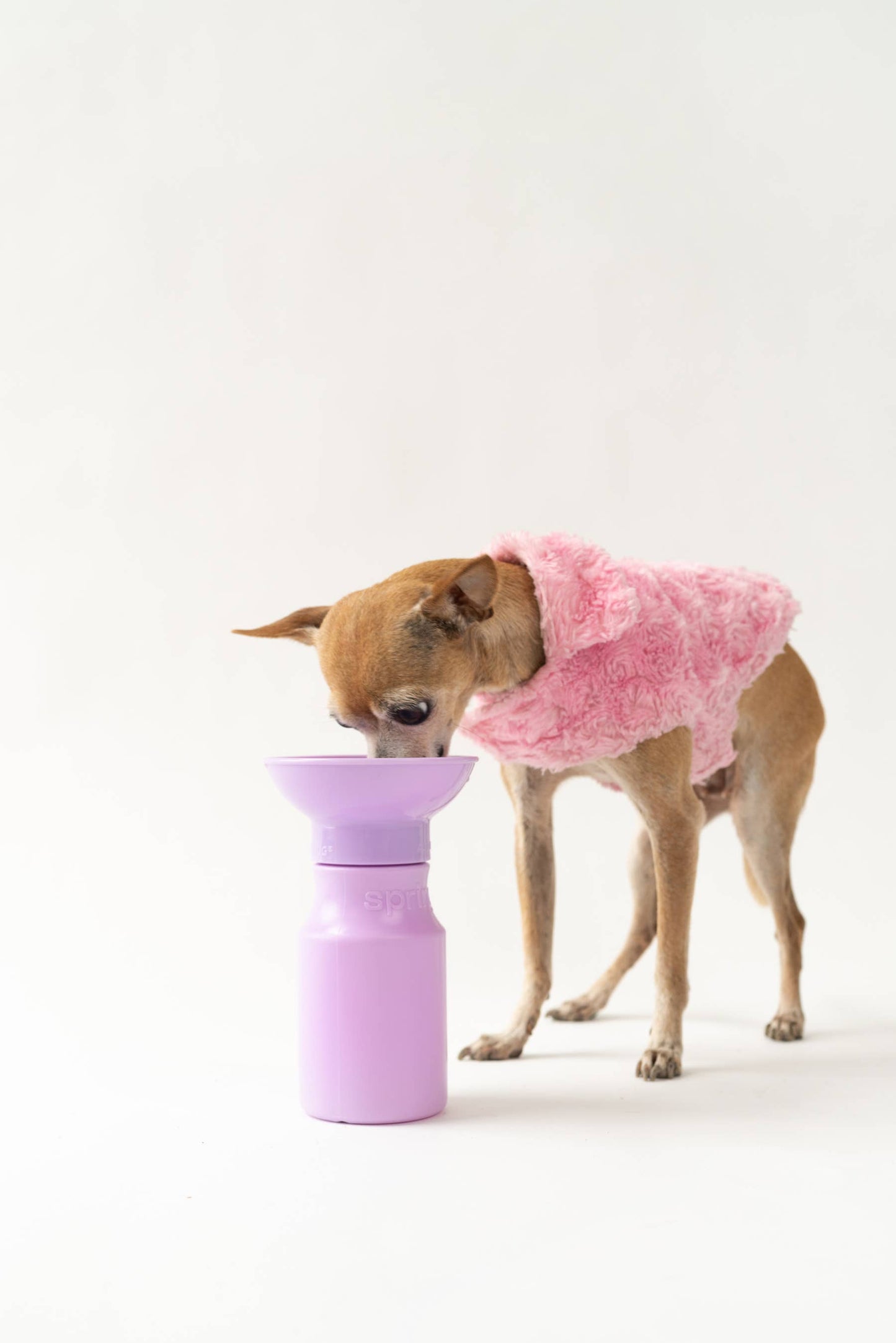 Mini Dog Travel Bottle - Lilac