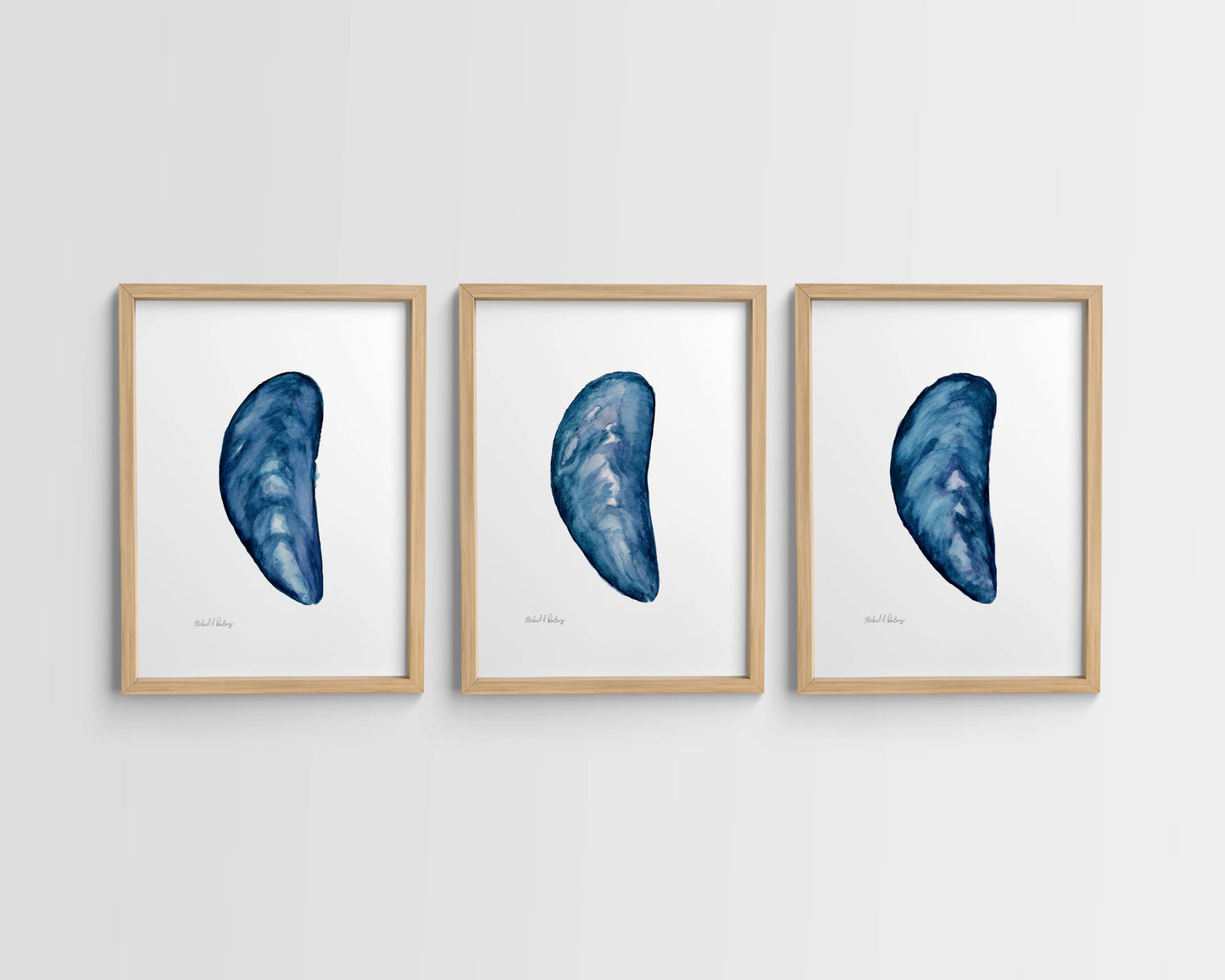 Mussel Shell Singles, Watercolor