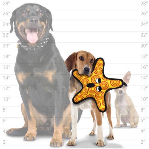 Tuffy Ocean Starfish, Durable, Tough, Squeaky Dog Toy