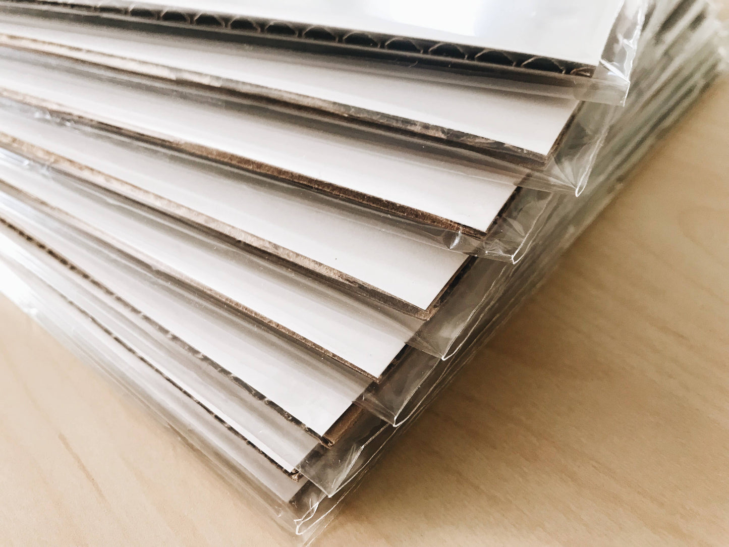 Mussel Shell Trio, Watercolor