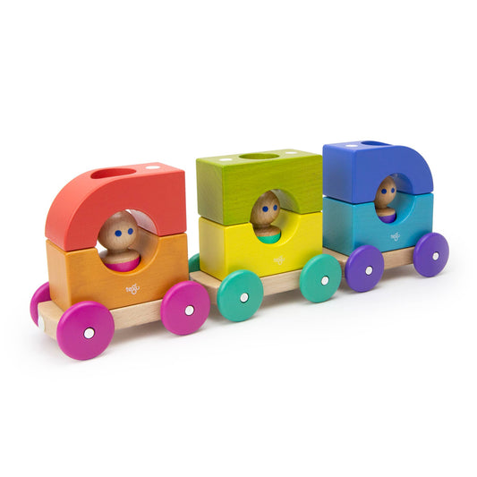 Magnetic Tegu Tram: Rainbow