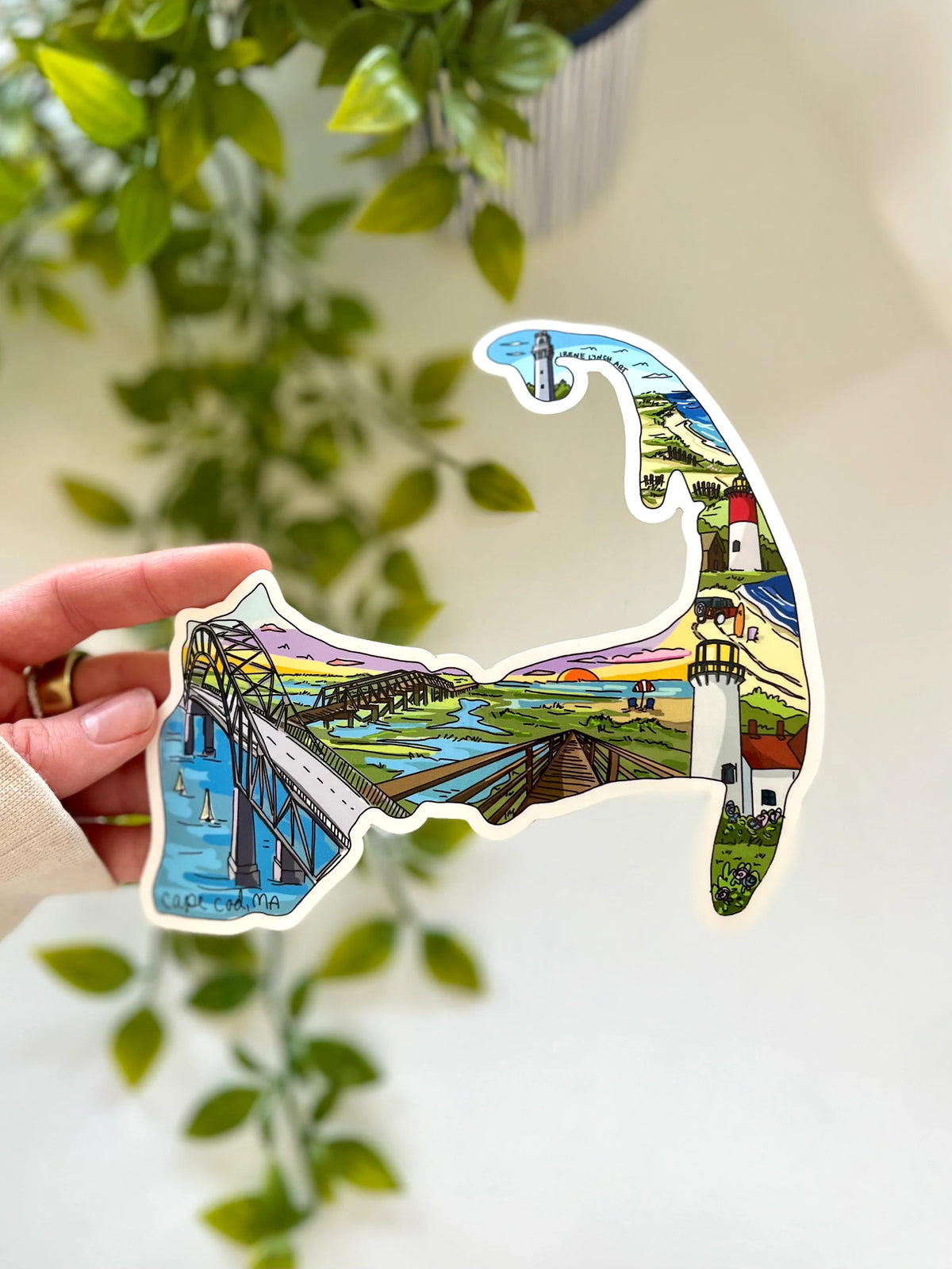 Cape Cod Sticker Map Cape Cod Map Sticker – Sidekicks Ptown