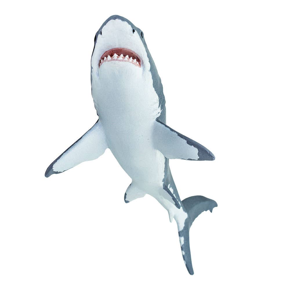 Great White Shark - 200729