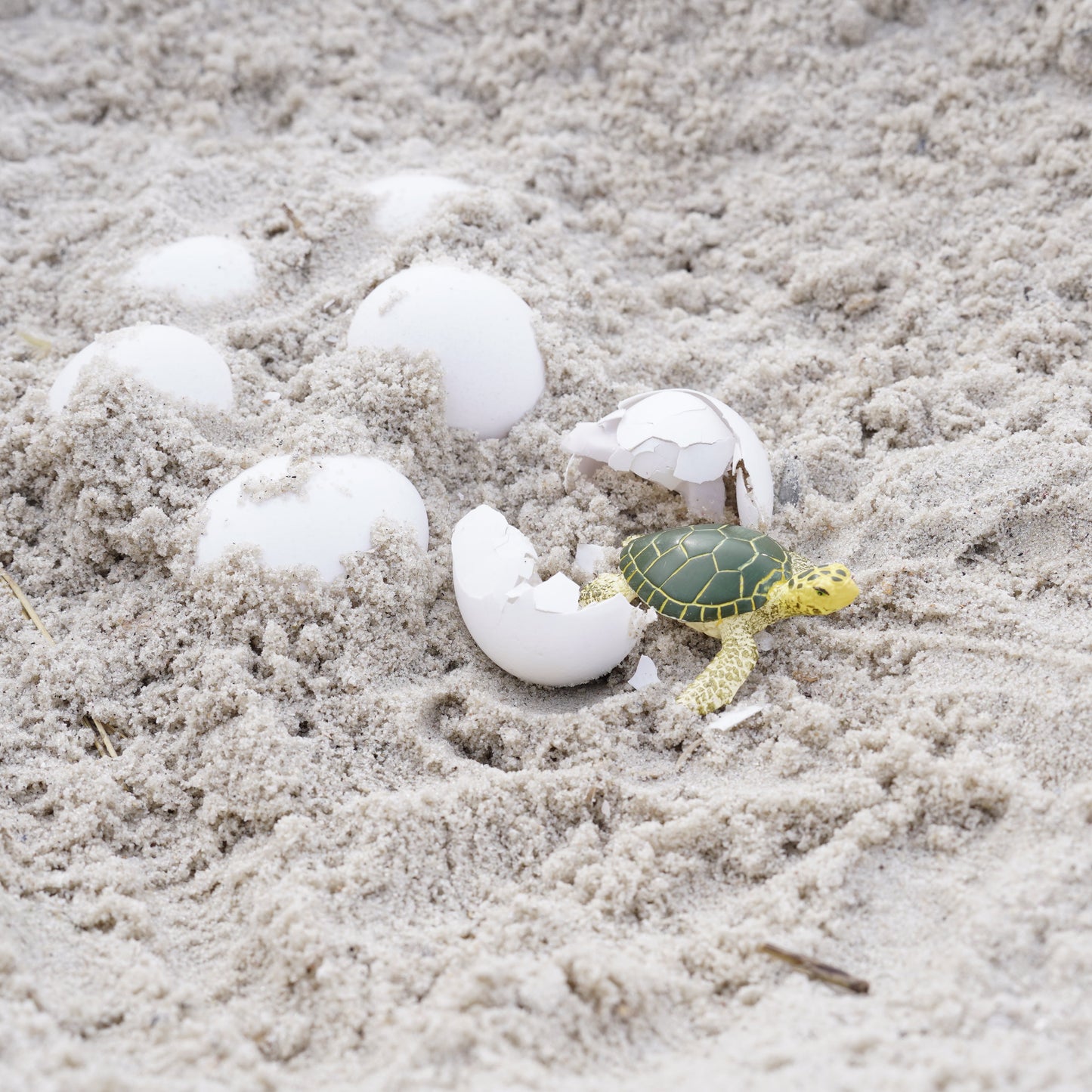 Wild Safari Sea Life Baby Green Sea Turtle figurine - view 5