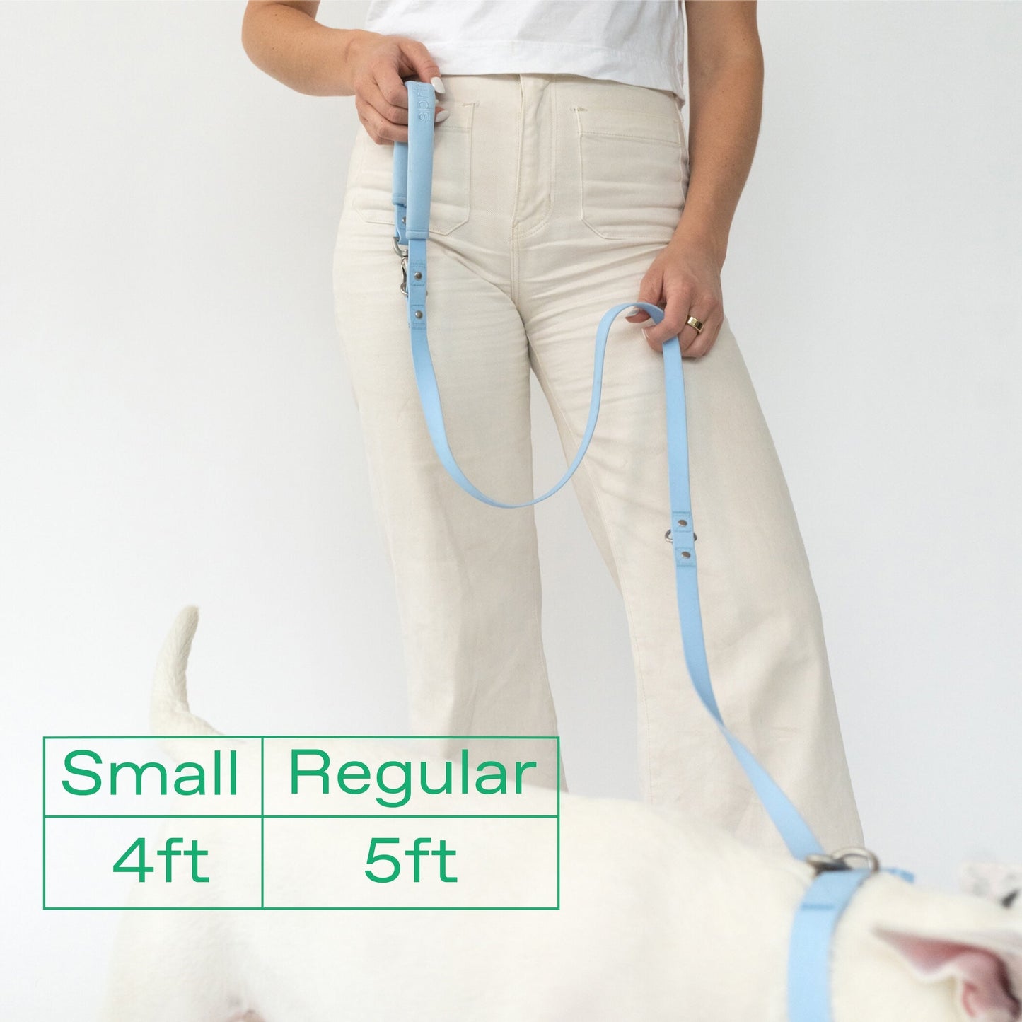 The Dog Leash