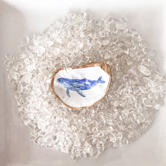 Whale Oyster Shell Trinket Dish