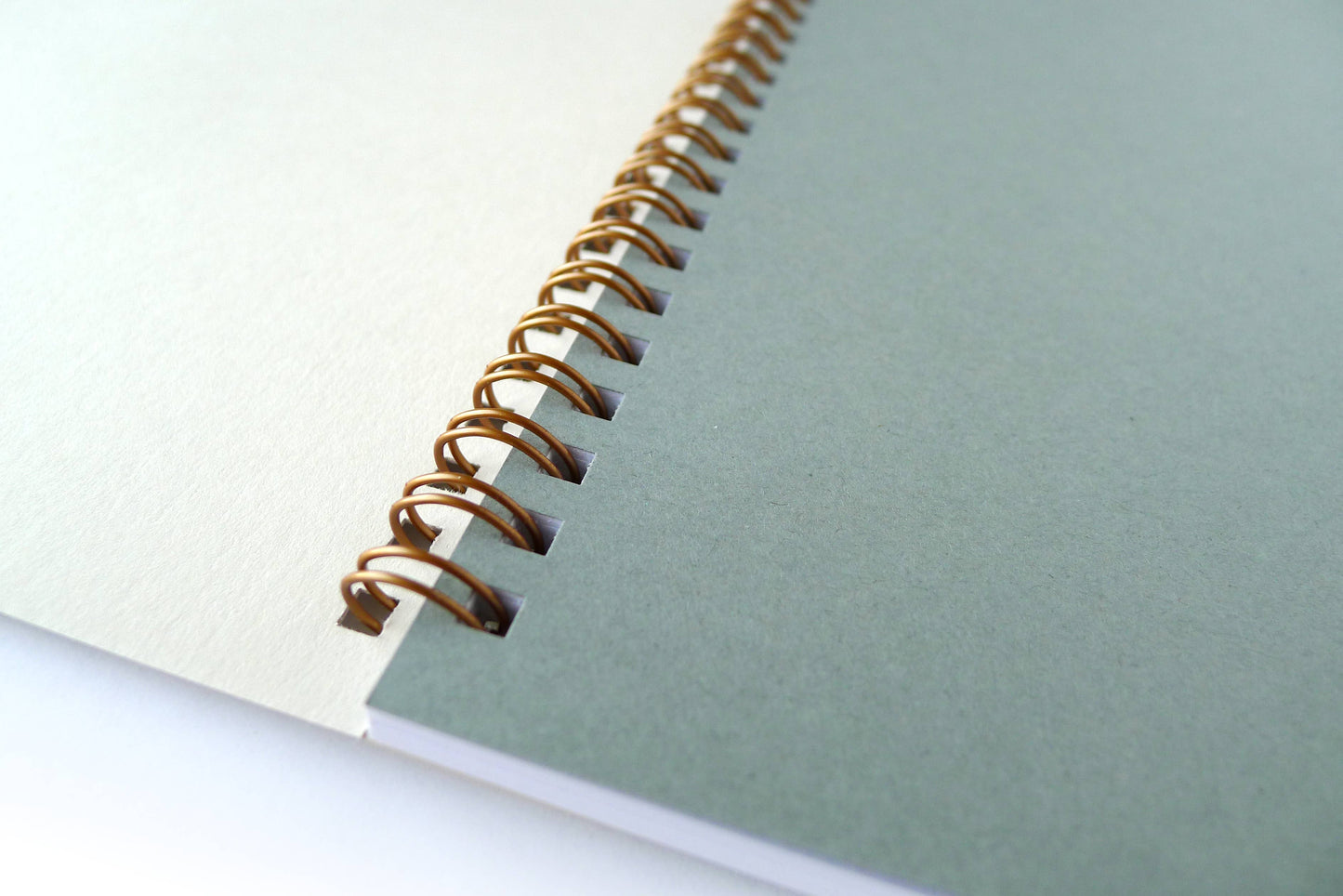 Mermaid Notebook, LG: Blank