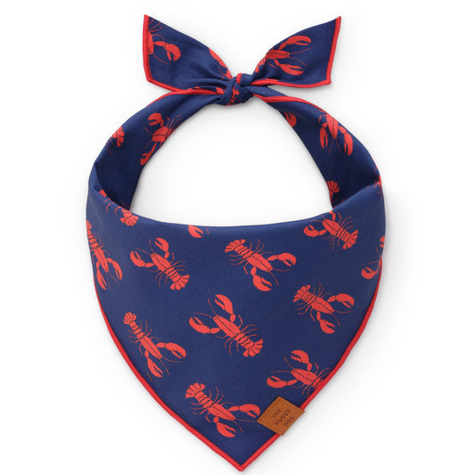 Catch of the Day Navy Dog Bandana