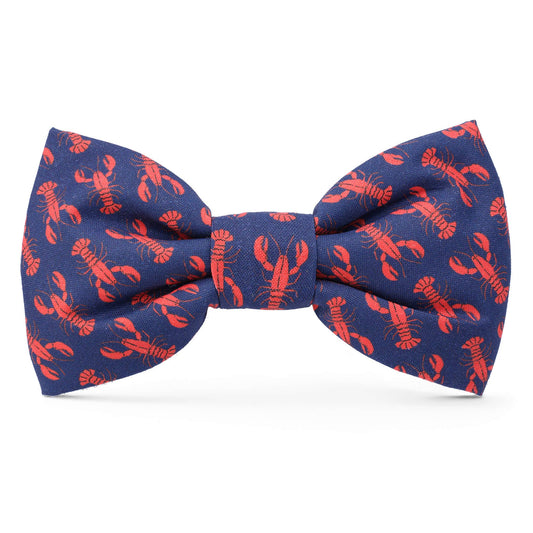 Catch of the Day Navy Dog Bow Tie: Standard