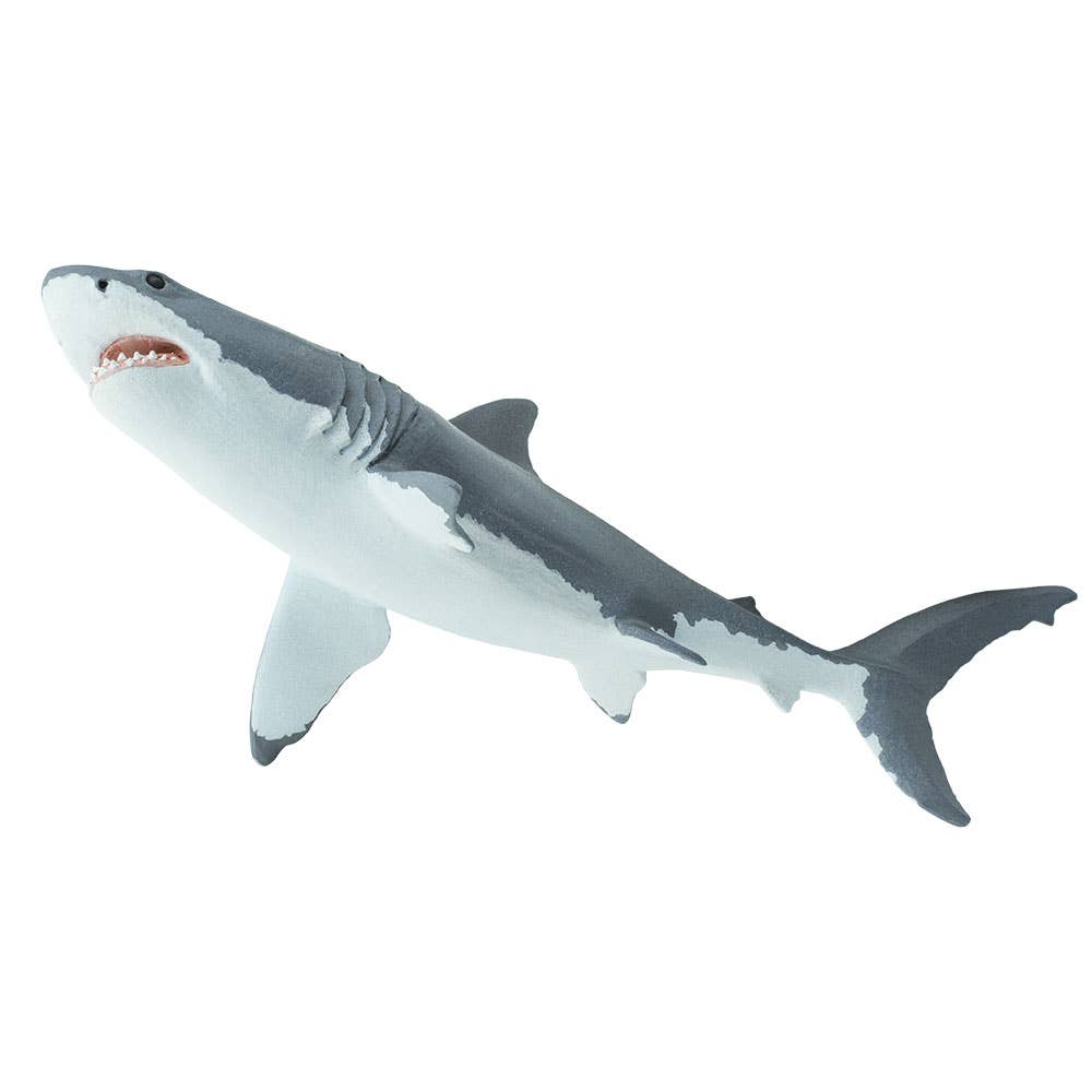 Great White Shark - 200729