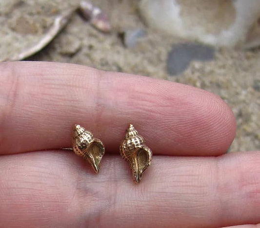 Whelk Earrings: Bronze