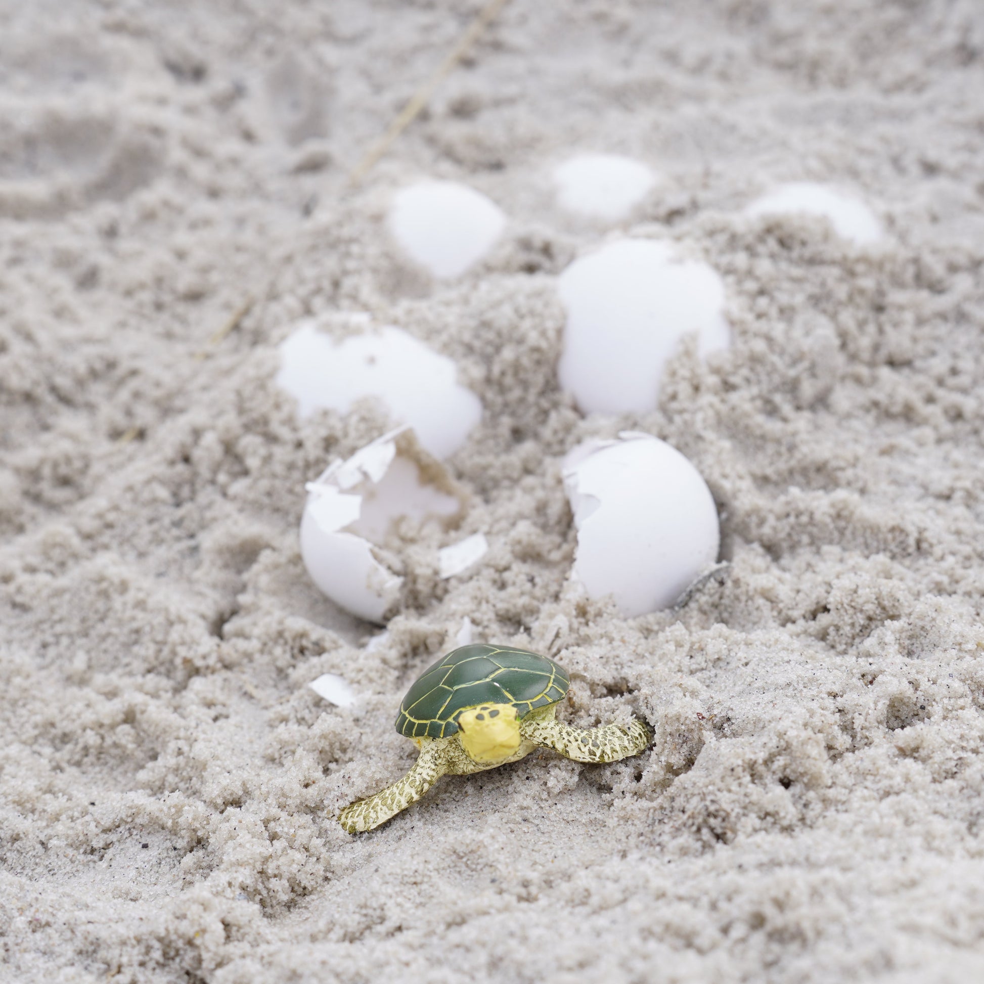 Wild Safari Sea Life Baby Green Sea Turtle figurine - view 7