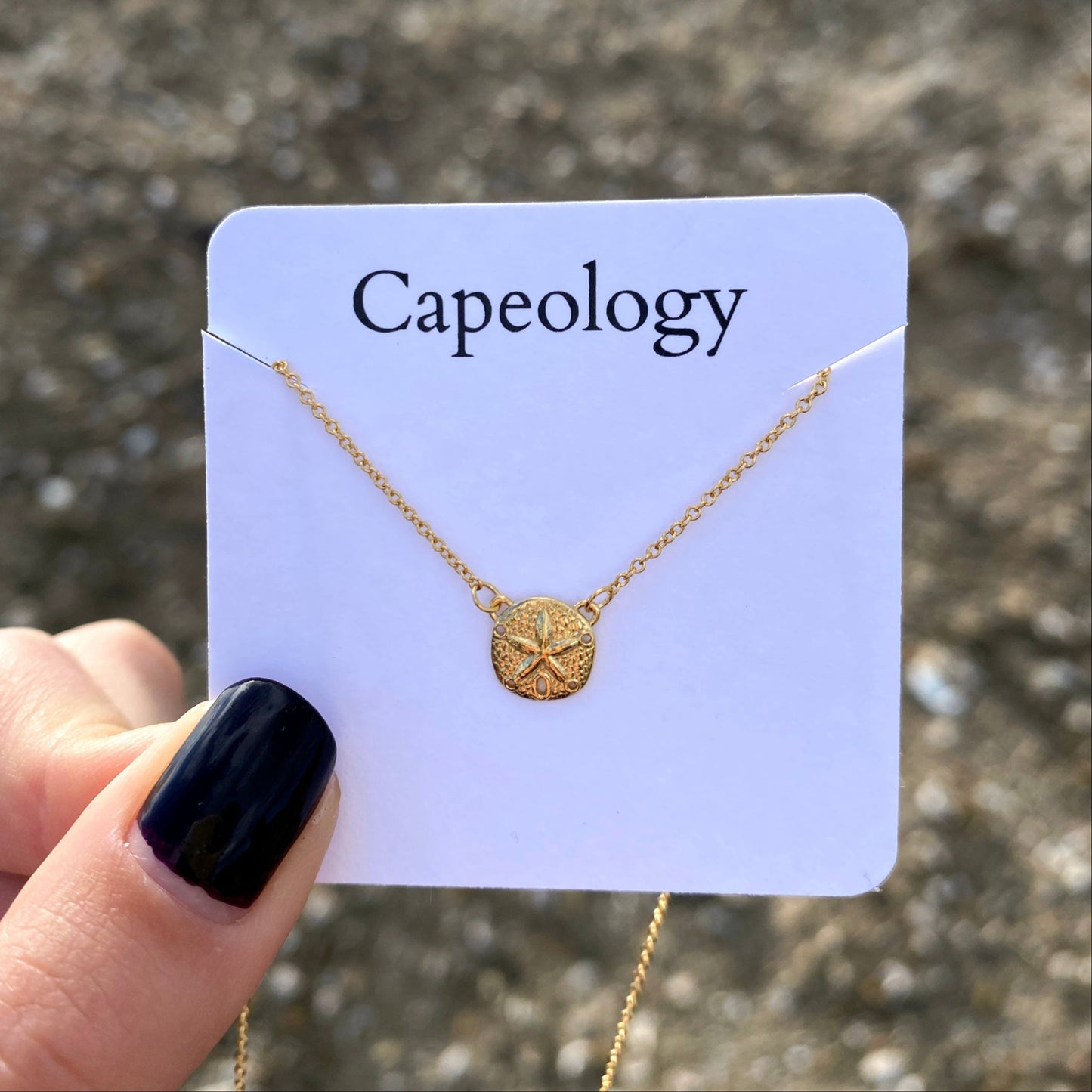 Sand Dollar Necklace