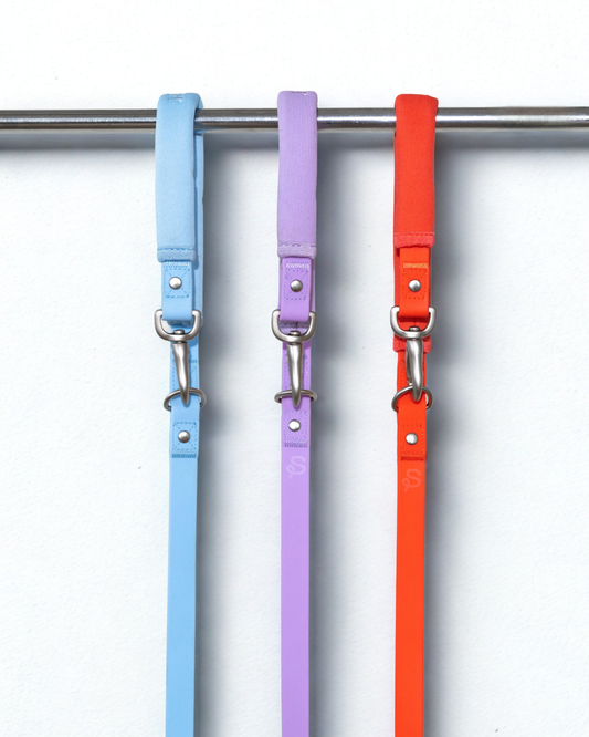 The Dog Leash