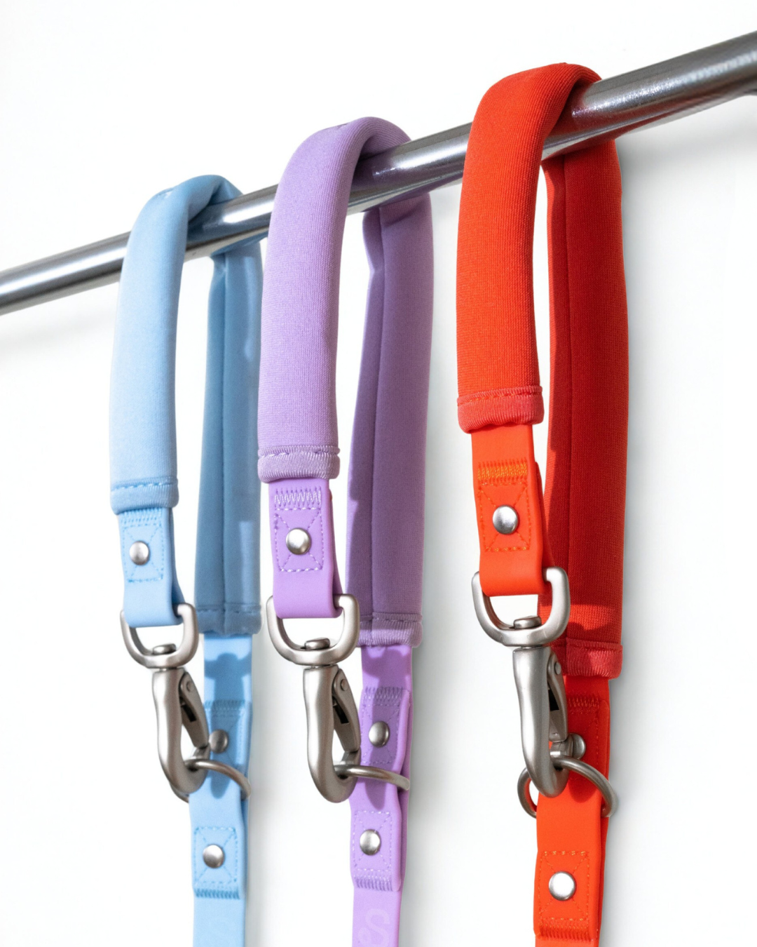 The Dog Leash