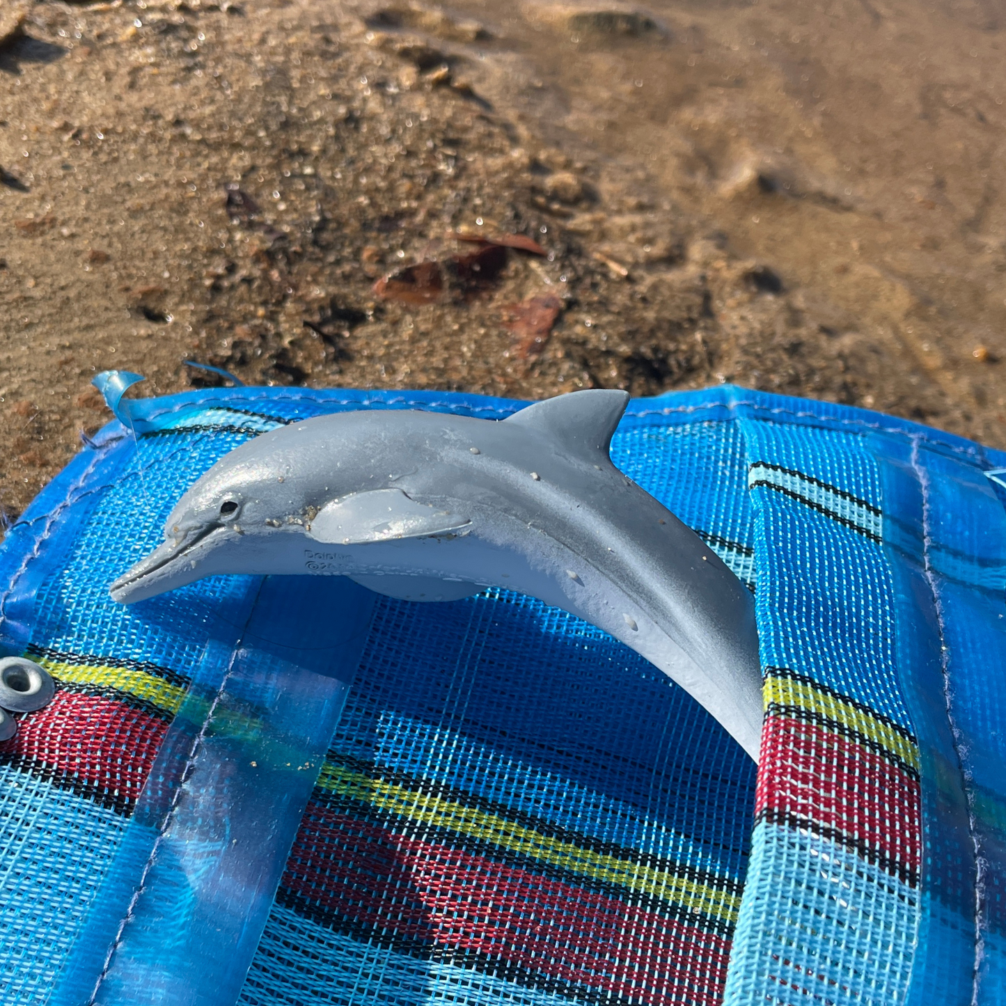 Safari Ltd Dolphin figurine ocean lifestyle