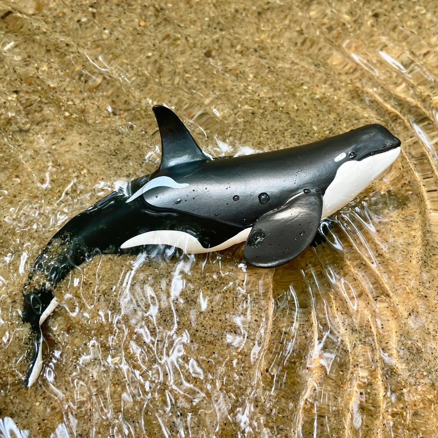 Wild Safari Sea Life Type D Orca figurine - view 9