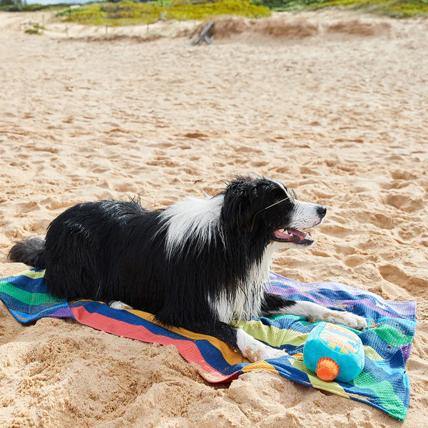 Pups with Pride Pets Towels