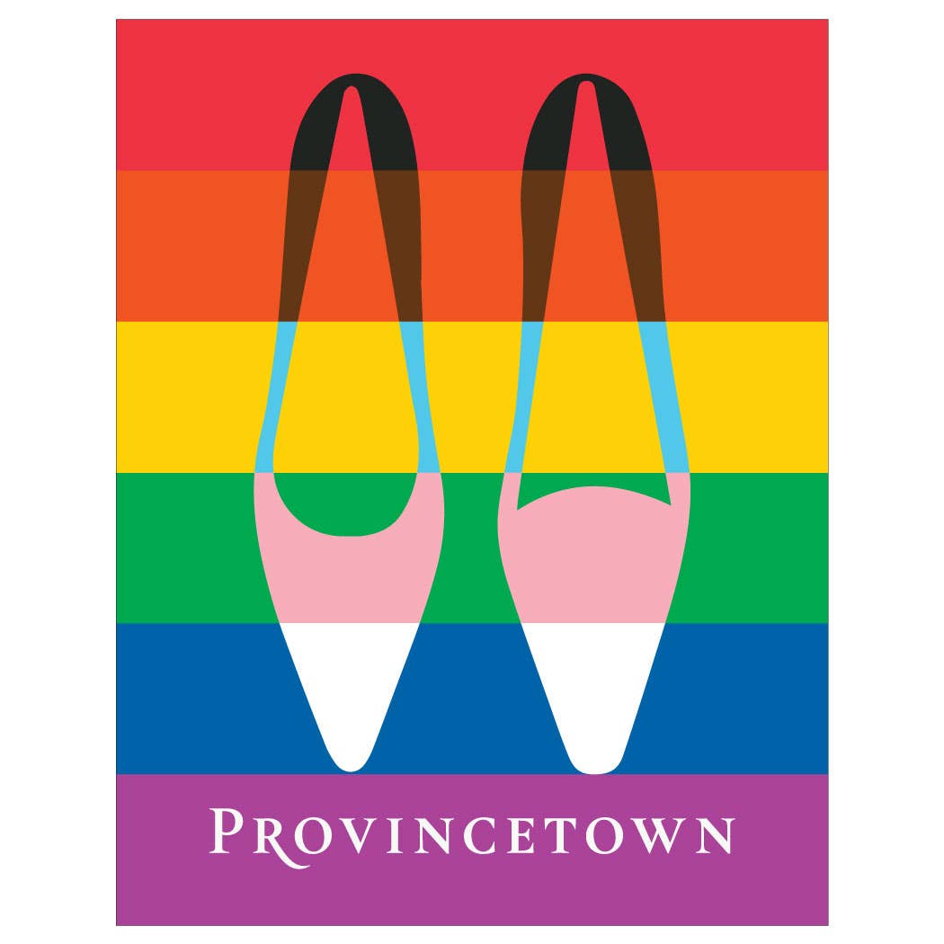 2.5 x 3.5 Provincetown Diversity Shoes Magnet