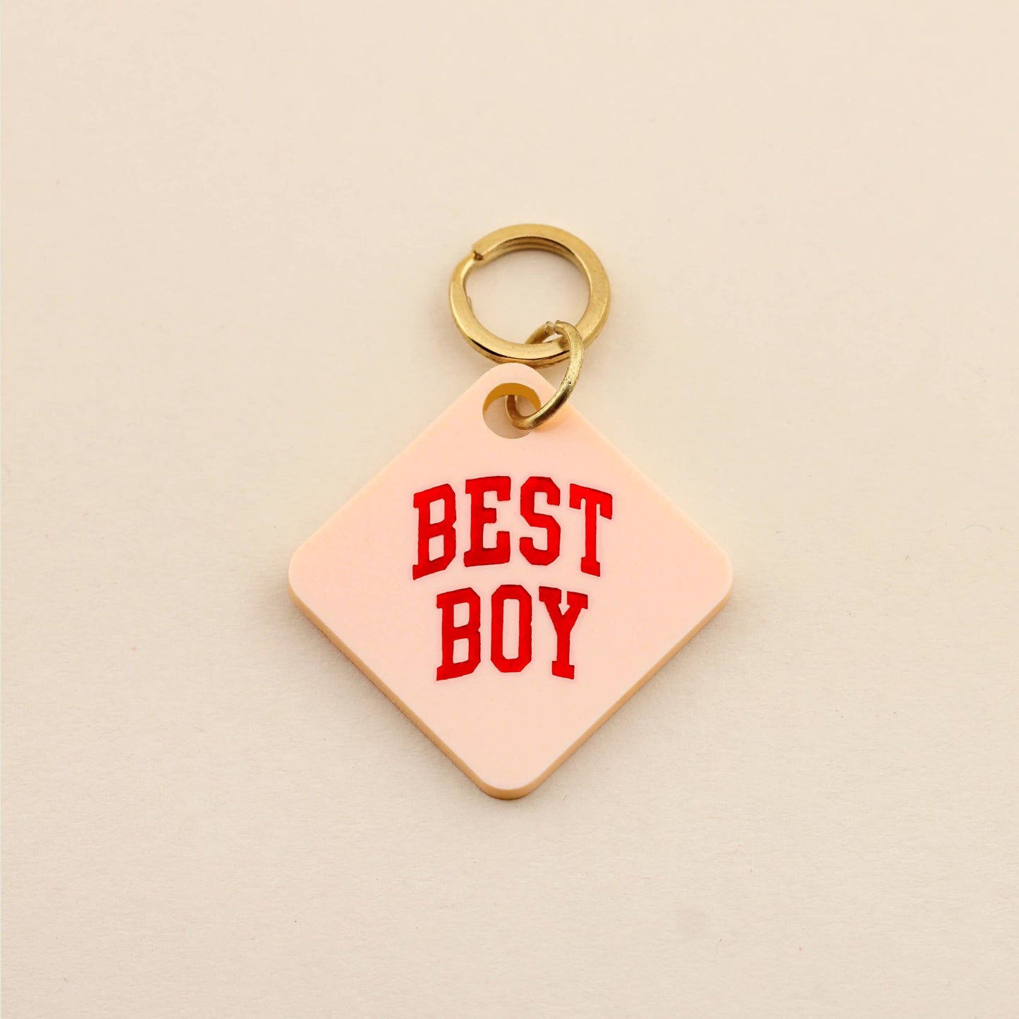 Best Boy Pet Tag