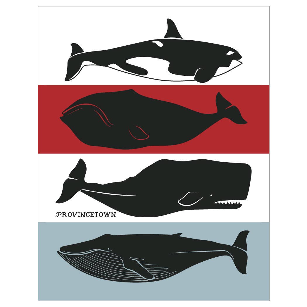 2.5'' x 3.5'' Provincetown Whales Magnet
