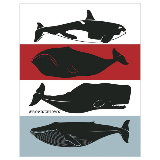 2.5'' x 3.5'' Provincetown Whales Magnet