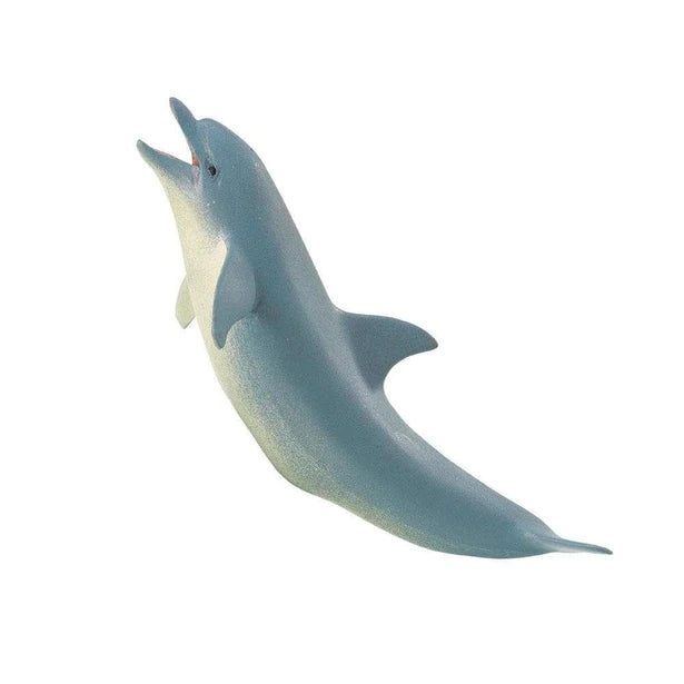 Sea Life