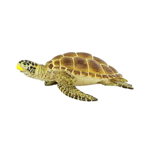 Sea Life